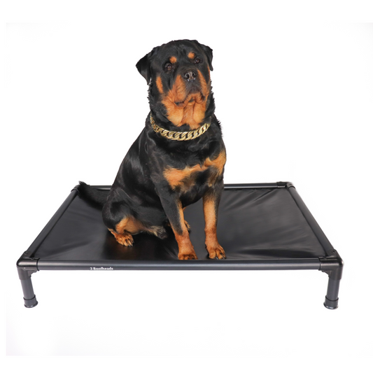 Storm Pet Bed