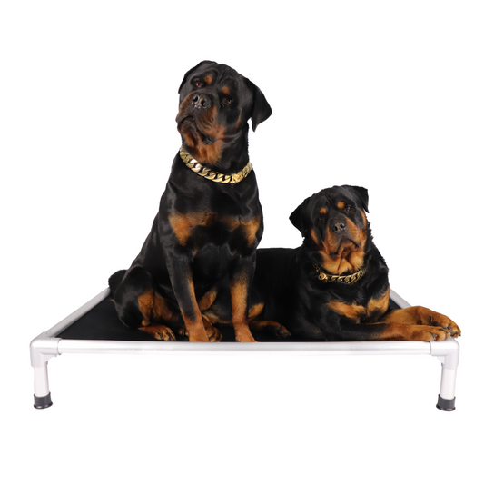 strong and durable aluminium frame pet bed / dog bed 