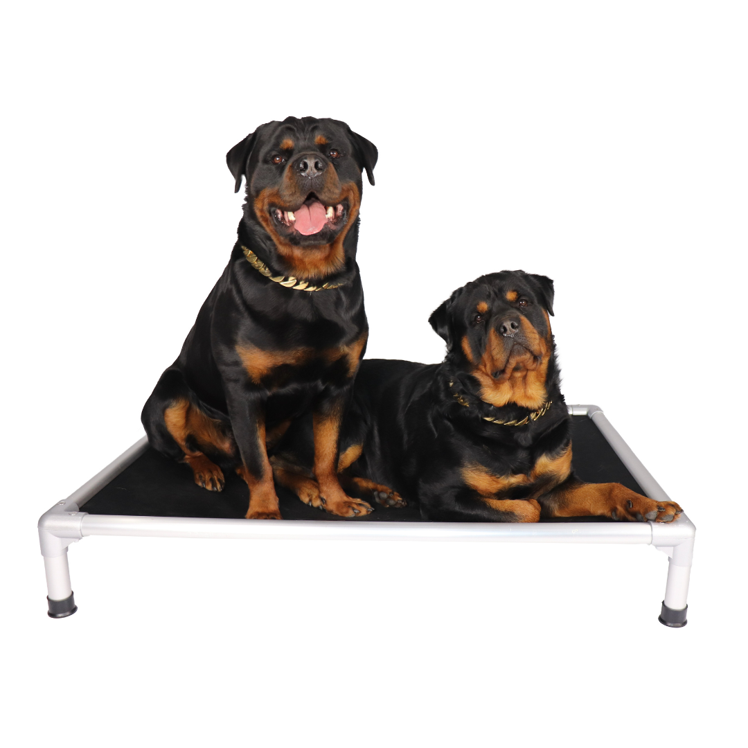 Strong aluminium frame with black insert material dog bed 