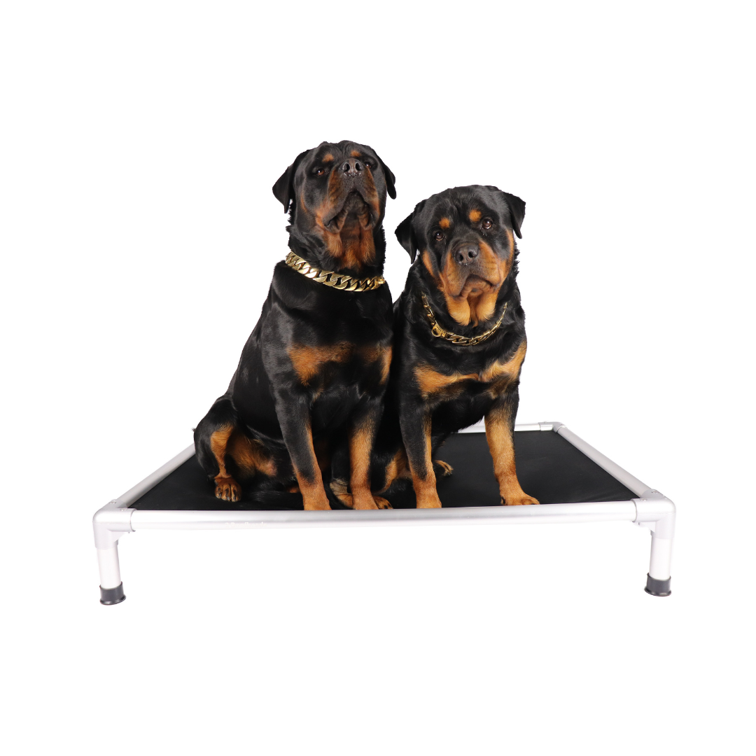 Aluminium dog bed with black insert 