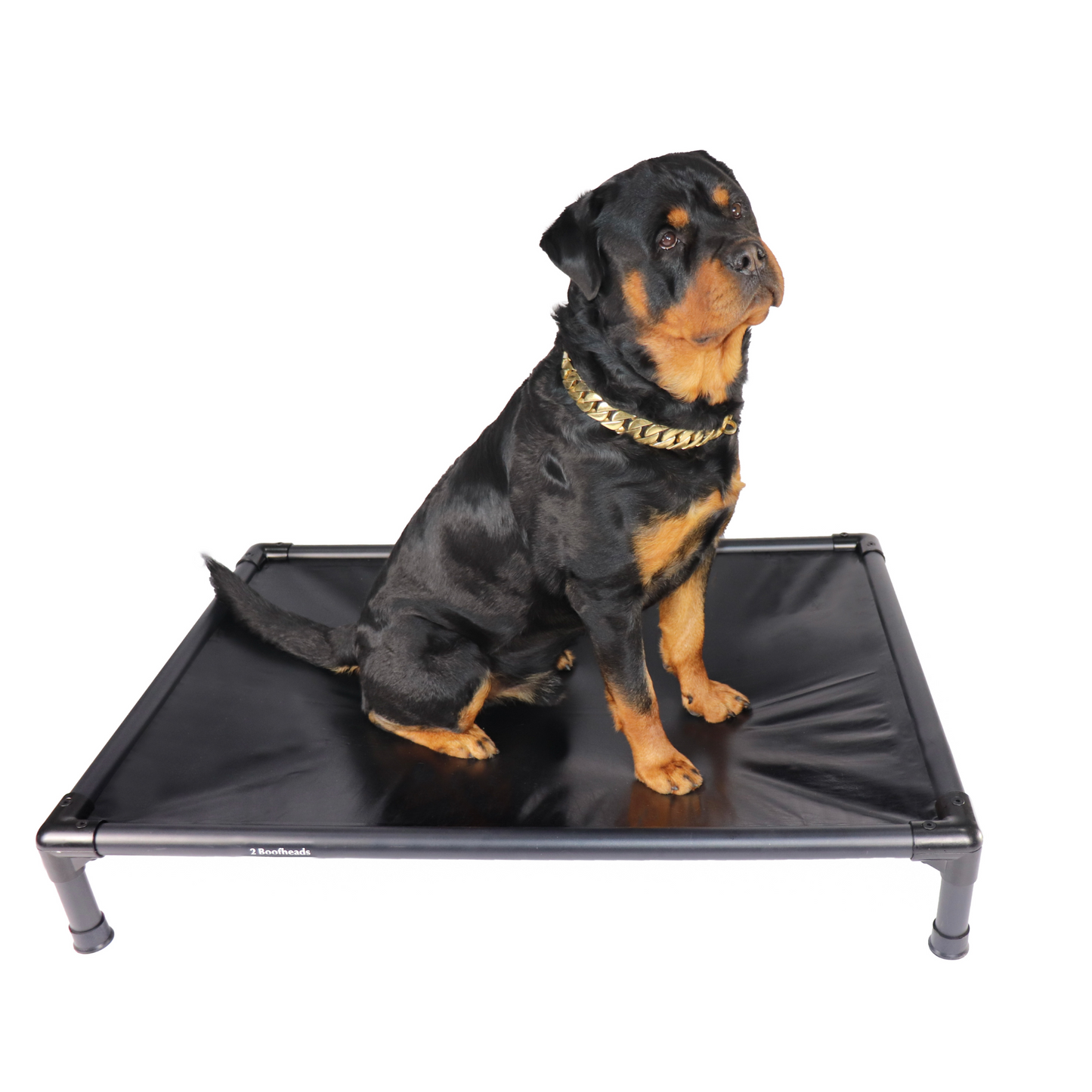 Storm Pet Bed